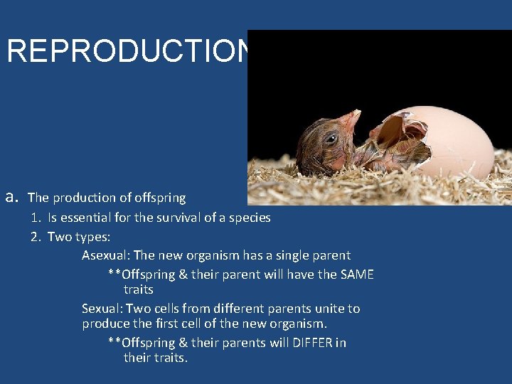 REPRODUCTION a. The production of offspring 1. Is essential for the survival of a