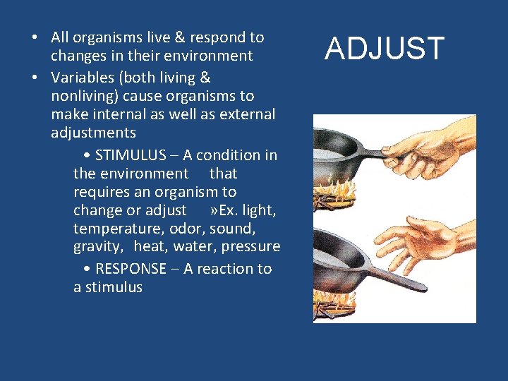  • All organisms live & respond to changes in their environment • Variables