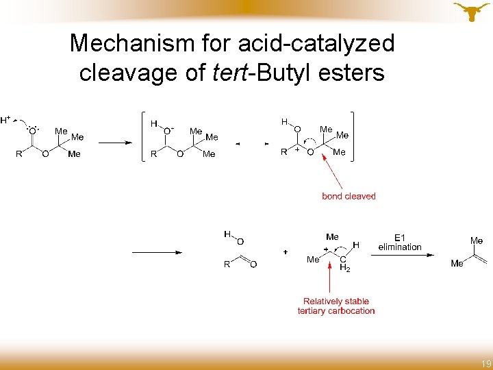 Mechanism for acid-catalyzed cleavage of tert-Butyl esters 19 19 