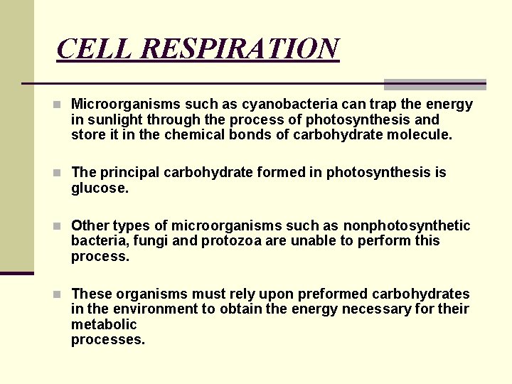 CELL RESPIRATION n Microorganisms such as cyanobacteria can trap the energy in sunlight through CELL RESPIRATION n Microorganisms such as cyanobacteria can trap the energy in sunlight through