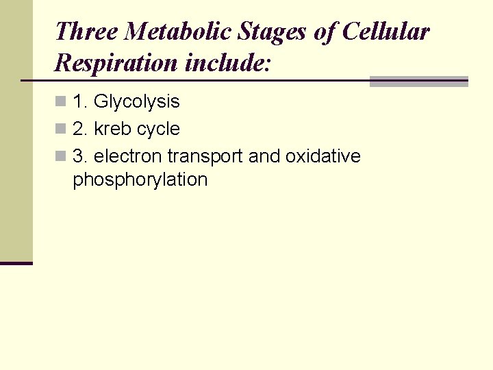 Three Metabolic Stages of Cellular Respiration include: n 1. Glycolysis n 2. kreb cycle Three Metabolic Stages of Cellular Respiration include: n 1. Glycolysis n 2. kreb cycle