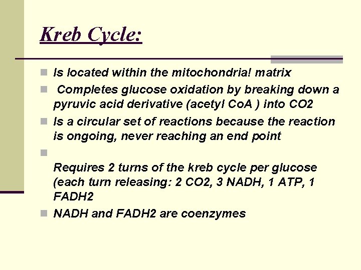 Kreb Cycle: n Is located within the mitochondria! matrix n Completes glucose oxidation by Kreb Cycle: n Is located within the mitochondria! matrix n Completes glucose oxidation by
