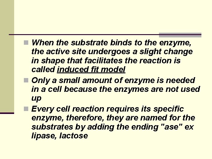 n When the substrate binds to the enzyme, the active site undergoes a slight n When the substrate binds to the enzyme, the active site undergoes a slight