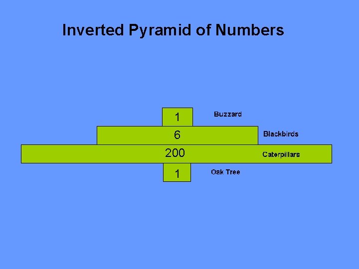 Inverted Pyramid of Numbers 1 6 200 1 