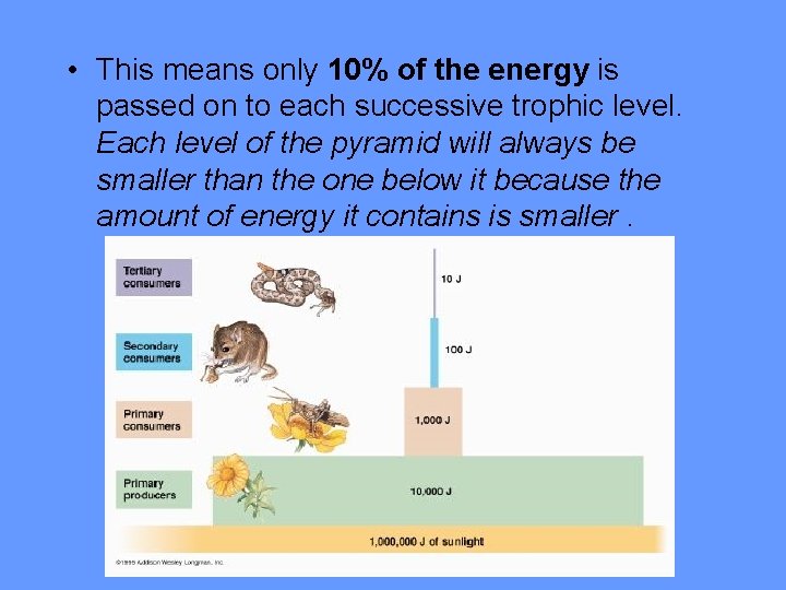 • This means only 10% of the energy is passed on to each