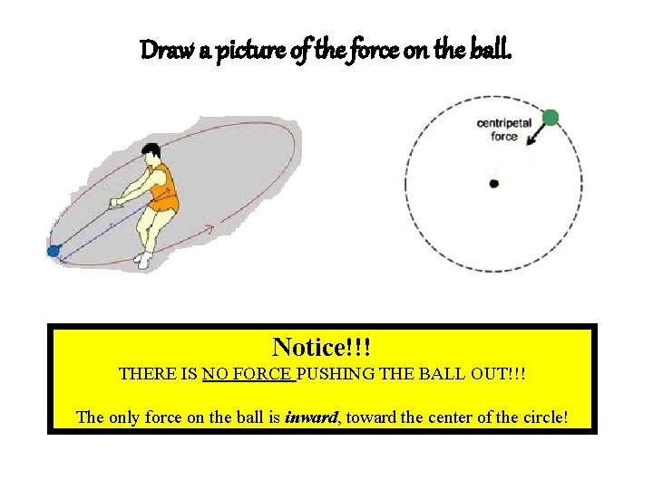Draw a picture of the force on the ball. Notice!!! THERE IS NO FORCE Draw a picture of the force on the ball. Notice!!! THERE IS NO FORCE