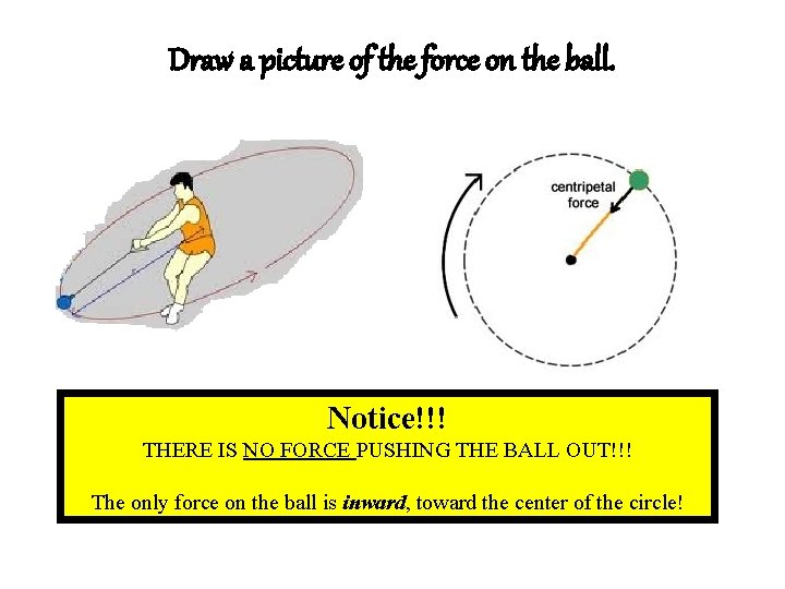 Draw a picture of the force on the ball. Notice!!! THERE IS NO FORCE Draw a picture of the force on the ball. Notice!!! THERE IS NO FORCE