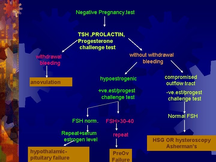 Negative Pregnancy. test TSH , PROLACTIN, Progesterone challenge test without withdrawal bleeding hypoestrogenic anovulation