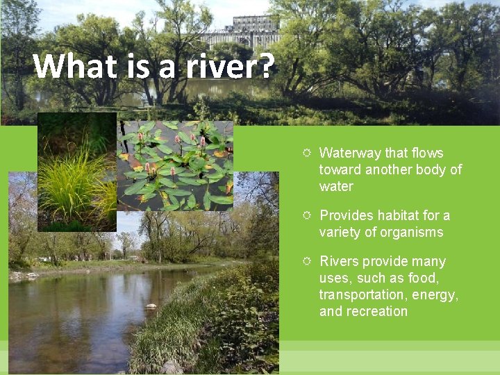 What is a river? Waterway that flows toward another body of water Provides habitat