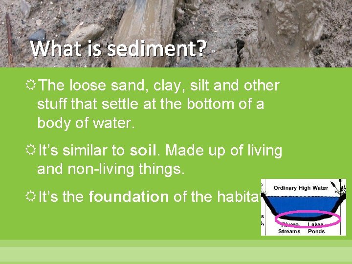What is sediment? The loose sand, clay, silt and other stuff that settle at