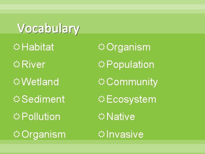 Vocabulary Habitat Organism River Population Wetland Community Sediment Ecosystem Pollution Native Organism Invasive 