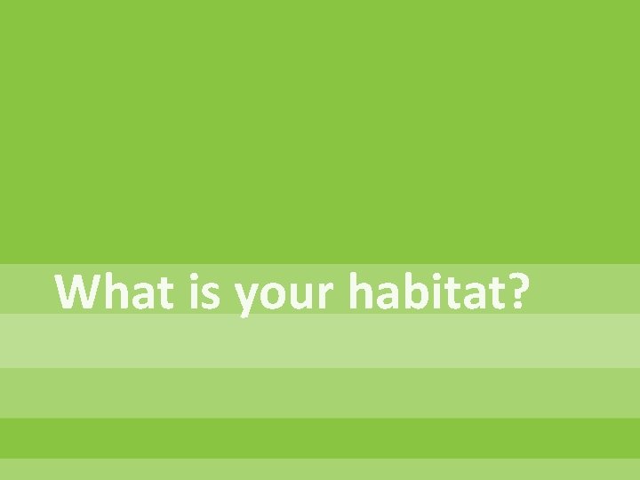What is your habitat? 