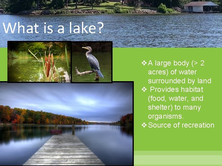 What is a lake? v. A large body (> 2 acres) of water surrounded