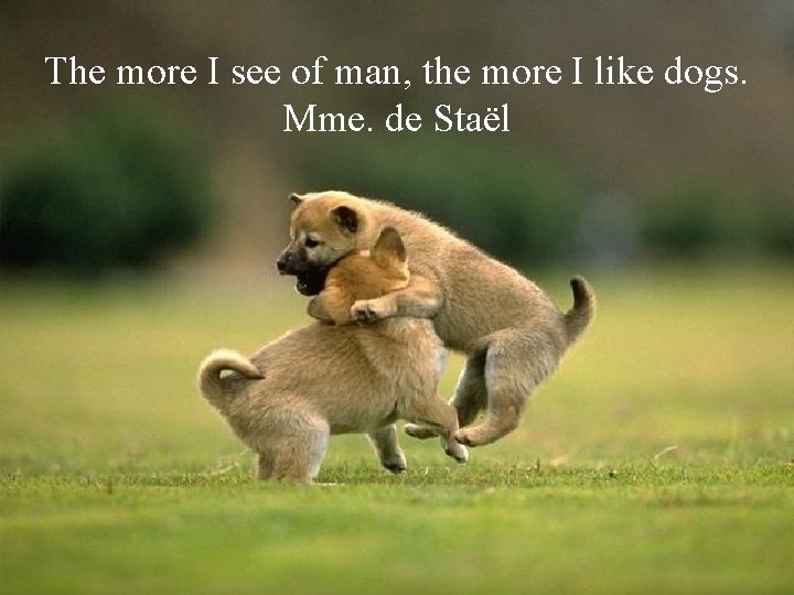 The more I see of man, the more I like dogs. Mme. de Staël