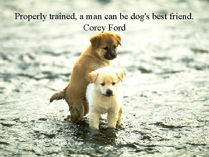 Properly trained, a man can be dog's best friend. Corey Ford 