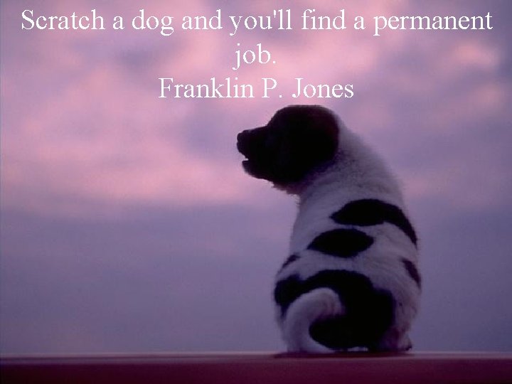 Scratch a dog and you'll find a permanent job. Franklin P. Jones 