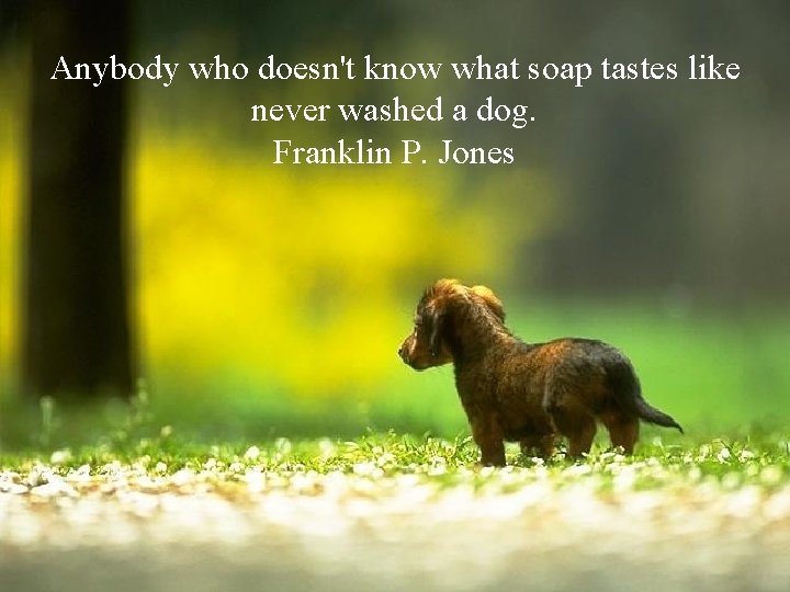 Anybody who doesn't know what soap tastes like never washed a dog. Franklin P.