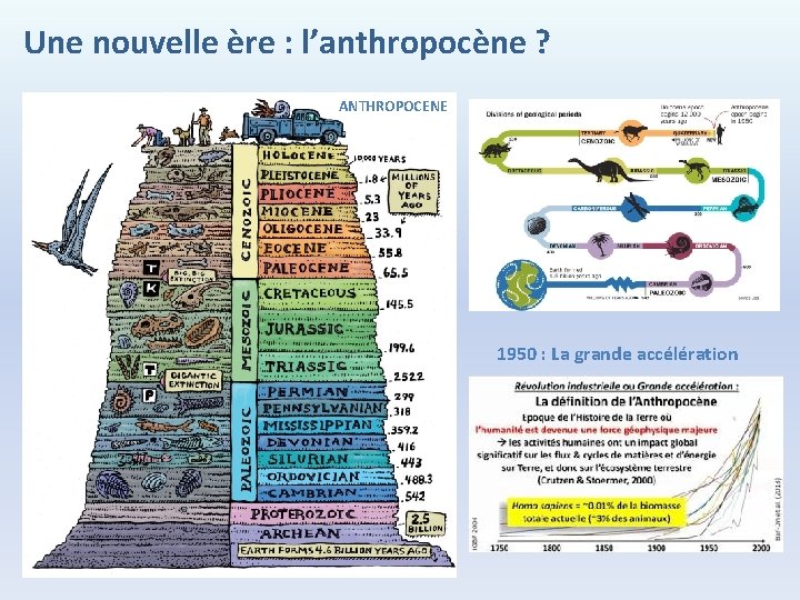 Une nouvelle ère : l’anthropocène ? ANTHROPOCENE 1950 : La grande accélération 