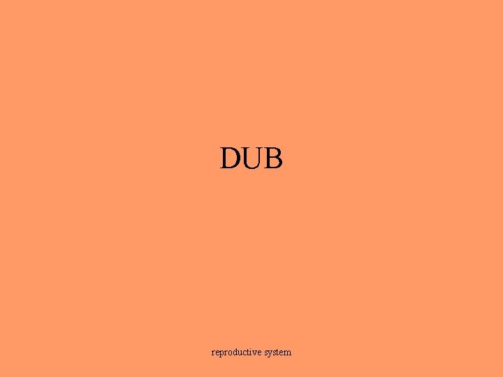 DUB reproductive system 