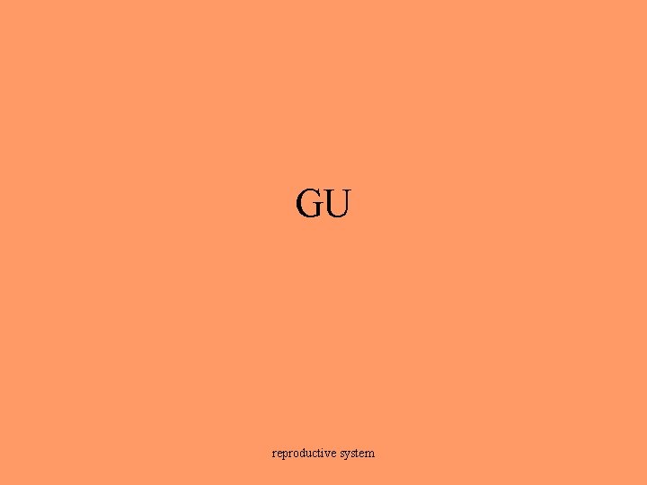 GU reproductive system 