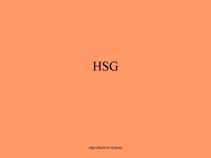 HSG reproductive system 