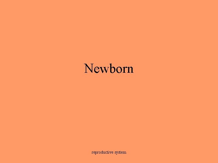 Newborn reproductive system 