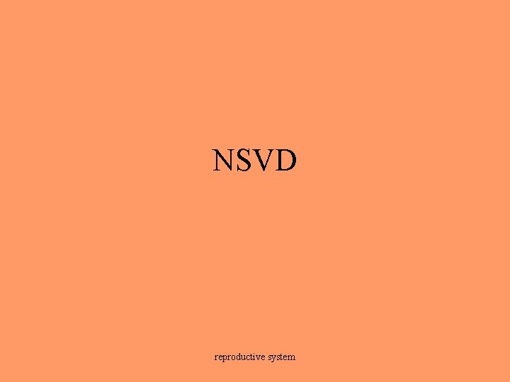 NSVD reproductive system 