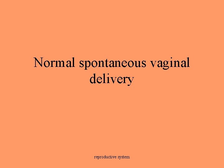 Normal spontaneous vaginal delivery reproductive system 