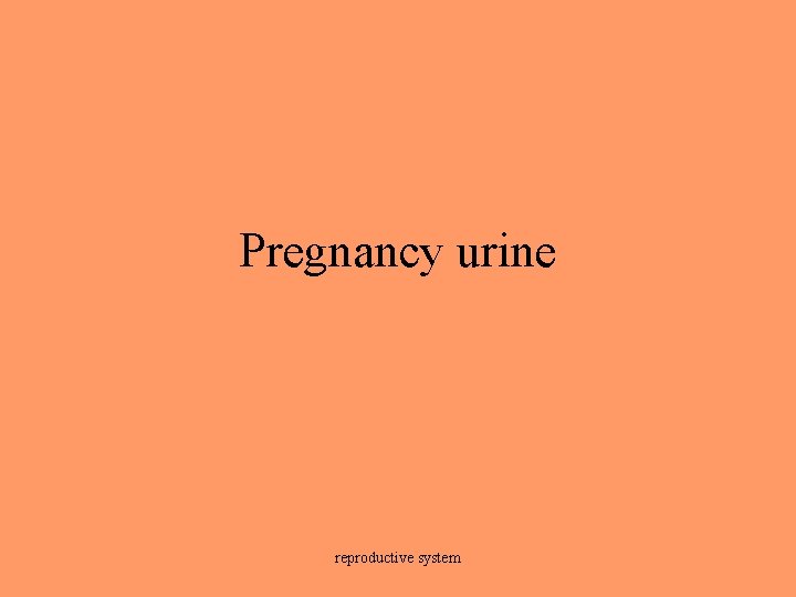 Pregnancy urine reproductive system 