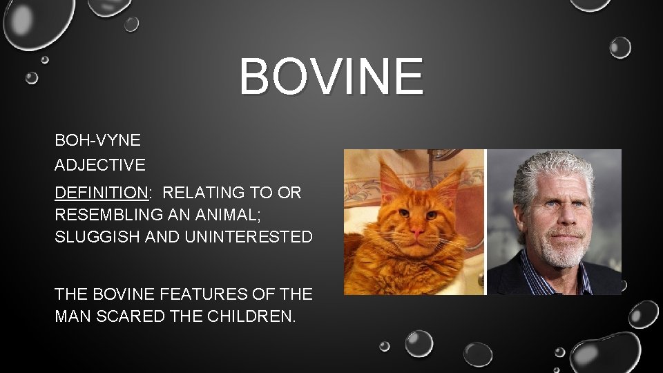 BOVINE BOH-VYNE ADJECTIVE DEFINITION: RELATING TO OR RESEMBLING AN ANIMAL; SLUGGISH AND UNINTERESTED THE