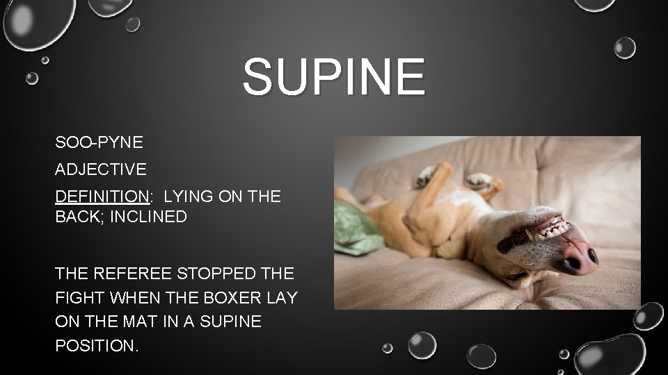 SUPINE SOO-PYNE ADJECTIVE DEFINITION: LYING ON THE BACK; INCLINED THE REFEREE STOPPED THE FIGHT