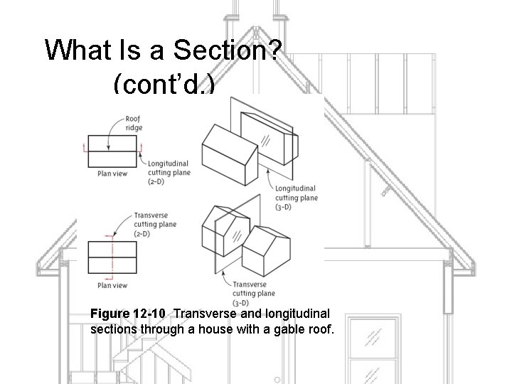 What Is a Section? (cont’d. ) Figure 12 -10 Transverse and longitudinal sections through