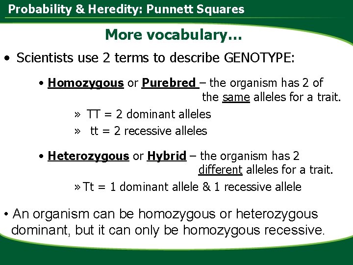 Probability & Heredity: Punnett Squares More vocabulary… • Scientists use 2 terms to describe
