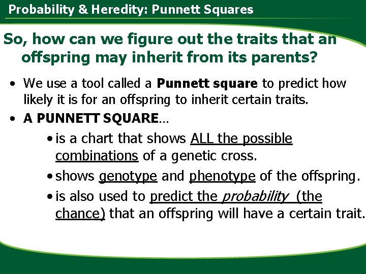 Probability & Heredity: Punnett Squares So, how can we figure out the traits that