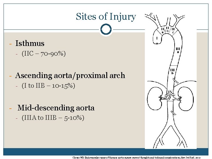 Sites of Injury - Isthmus - (IIC – 70 -90%) - Ascending aorta/proximal arch