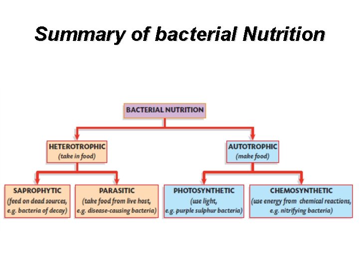 Summary of bacterial Nutrition 