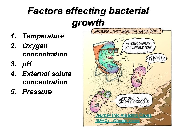 Factors affecting bacterial growth 1. Temperature 2. Oxygen concentration 3. p. H 4. External