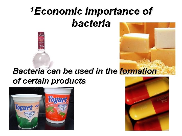 1 Economic importance of bacteria Bacteria can be used in the formation of certain