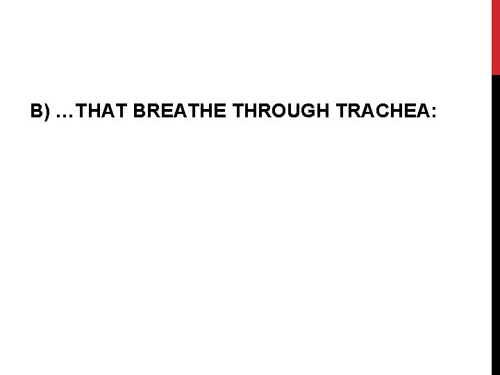 B) …THAT BREATHE THROUGH TRACHEA: 