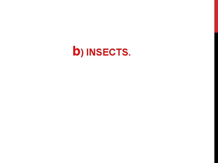 b) INSECTS. 