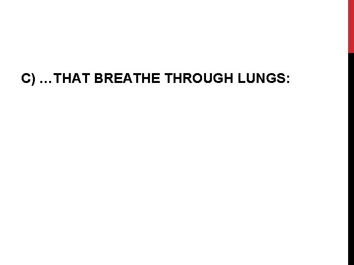 C) …THAT BREATHE THROUGH LUNGS: 