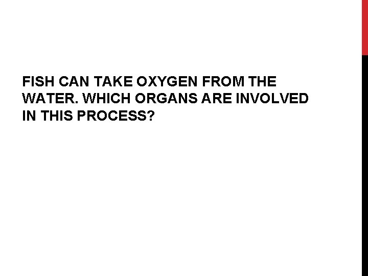 FISH CAN TAKE OXYGEN FROM THE WATER. WHICH ORGANS ARE INVOLVED IN THIS PROCESS?
