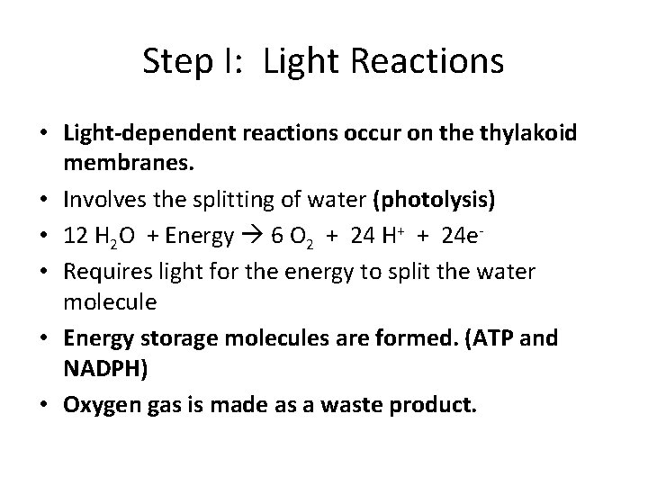 Step I: Light Reactions • Light-dependent reactions occur on the thylakoid membranes. • Involves