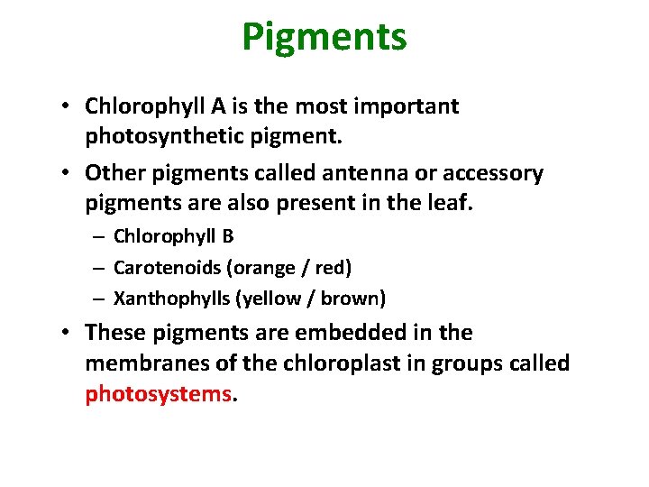 Pigments • Chlorophyll A is the most important photosynthetic pigment. • Other pigments called