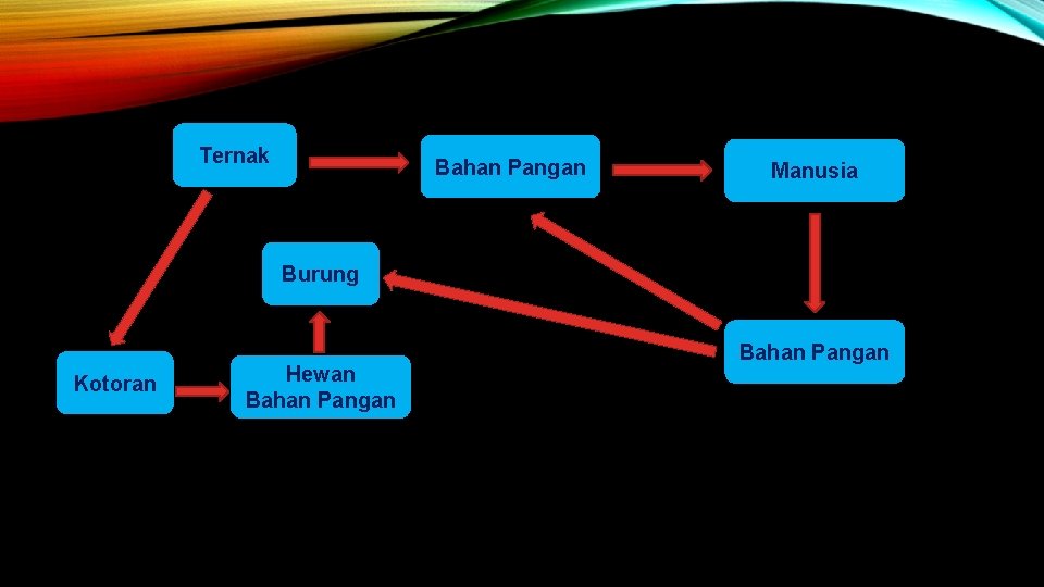 Ternak Bahan Pangan Manusia Burung Kotoran Hewan Bahan Pangan 