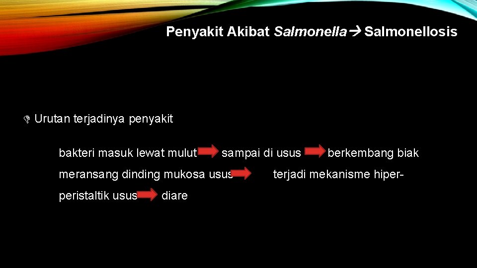 Penyakit Akibat Salmonella Salmonellosis Urutan terjadinya penyakit bakteri masuk lewat mulut sampai di usus