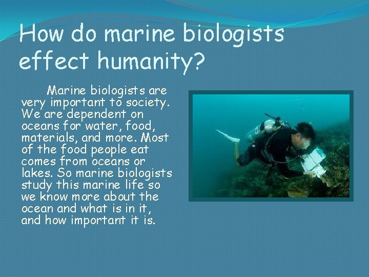 How do marine biologists effect humanity? Marine biologists are very important to society. We