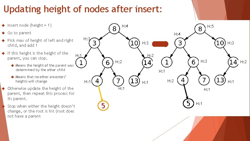 Updating height of nodes after insert: Insert node (height = 1) Go to parent