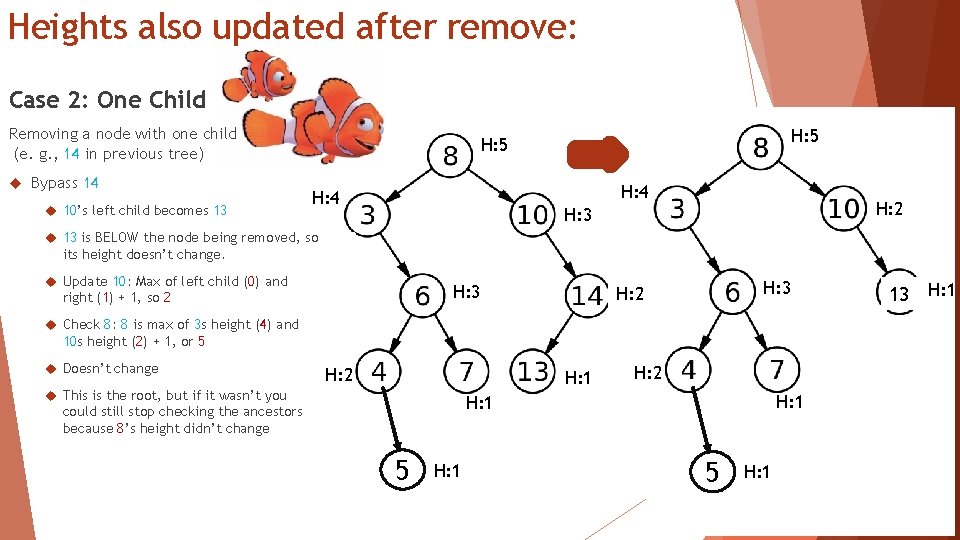 Heights also updated after remove: Case 2: One Child Removing a node with one Heights also updated after remove: Case 2: One Child Removing a node with one