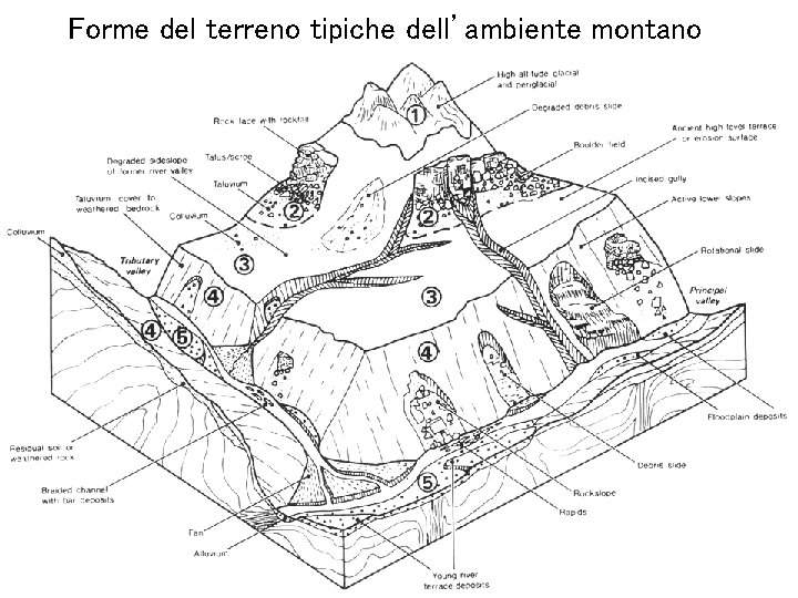 Università Mediterranea di Reggiodell’ambiente Calabria – Facoltà di Ingegneria Forme del terreno tipiche montano